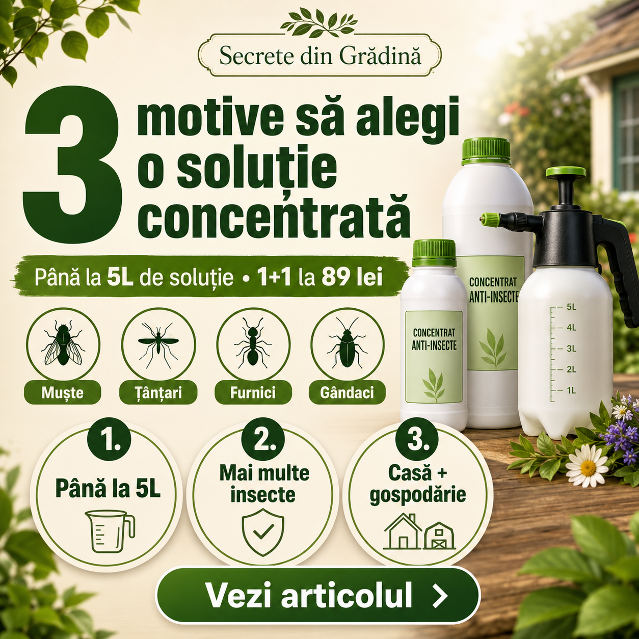 3 motive să alegi o soluție concentrată împotriva insectelor