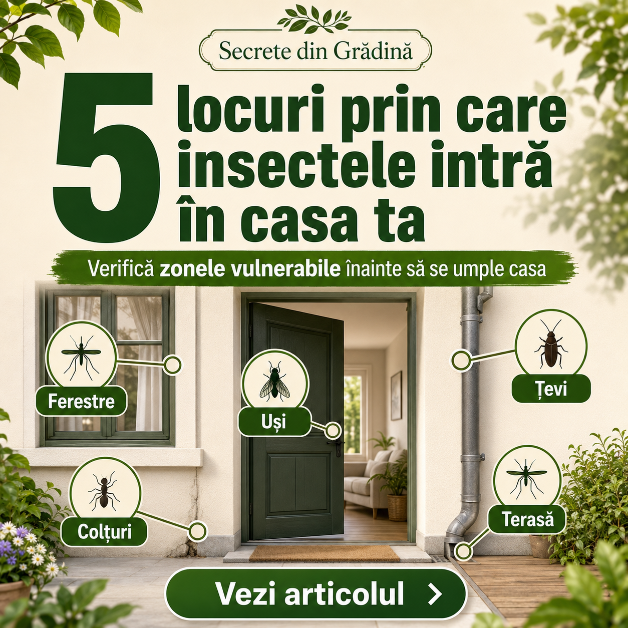 5 locuri prin care insectele intră în casa ta fără să îți dai seama