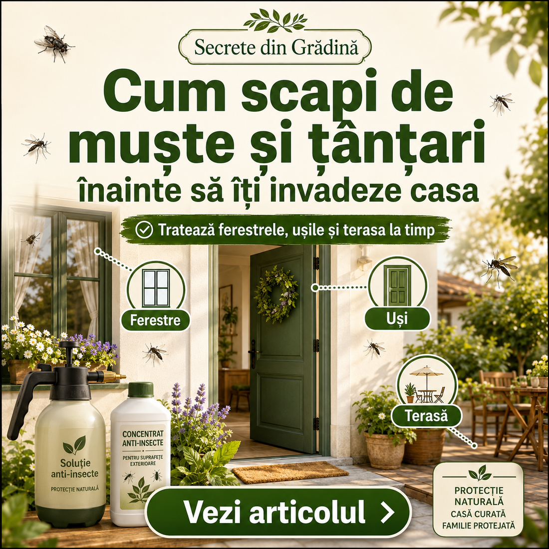 Cum scapi de muște și țânțari înainte să îți invadeze casa