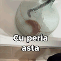 Peria Gospodarului